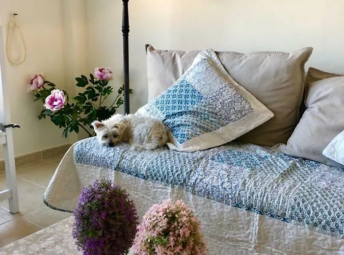 Playa Paraiso Elisabeth Lejlighed