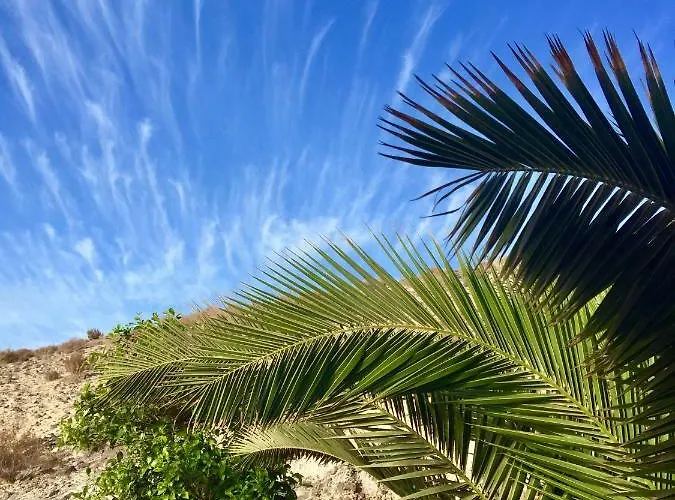 Playa Paraiso Elisabeth Lejlighed *